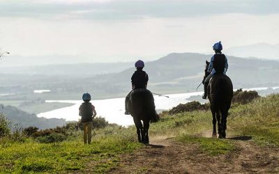 Horse Holidays at Lindores