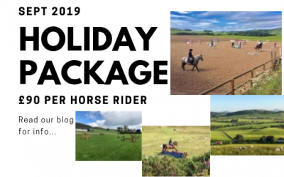 Horse Holiday Friends Package